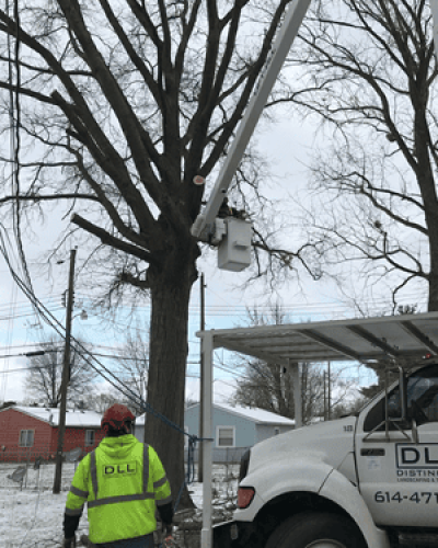 services 16